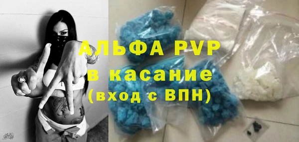 сатива Чегем