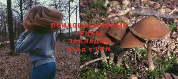 метадон Бородино