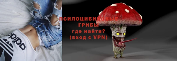 PSILOCYBIN Чекалин
