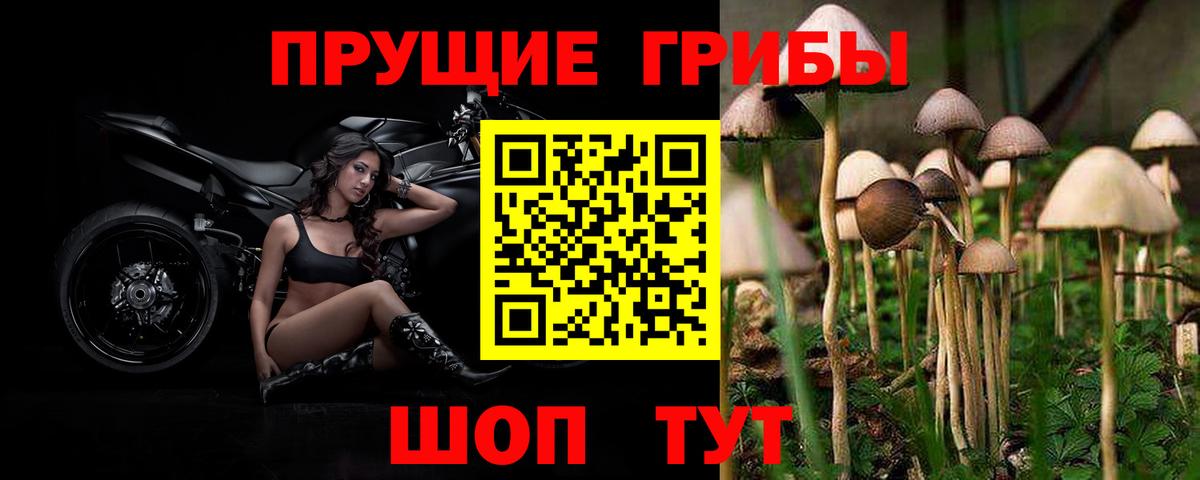 Вичуга  Галлюциногенные грибы Cubensis  закладки  Псилоцибиновые грибы мухоморы  Вход с VPN 